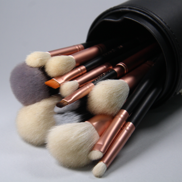 Set de Brochas 15