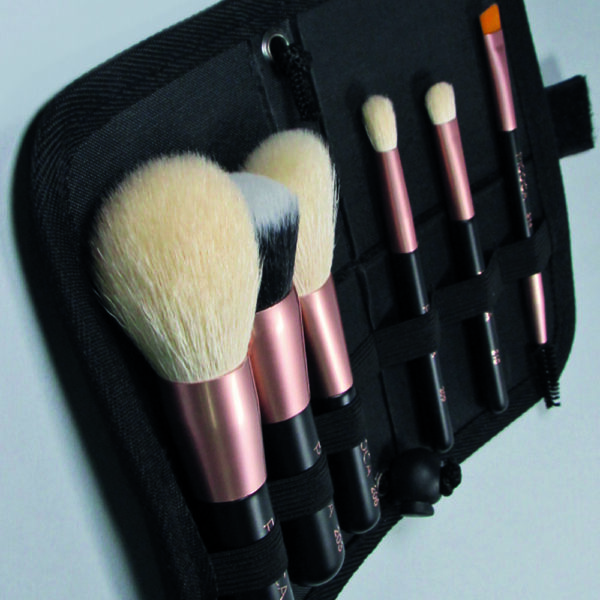Set de Brochas Mini 6